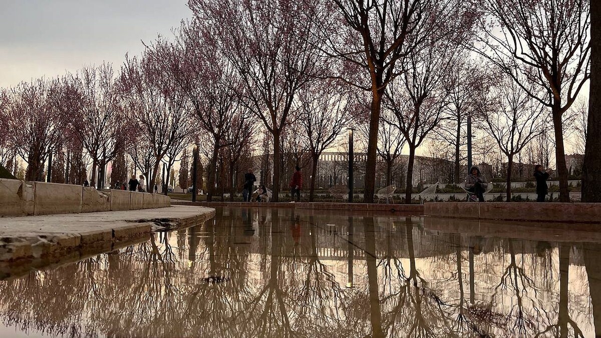    Фото: телеканал «Краснодар»