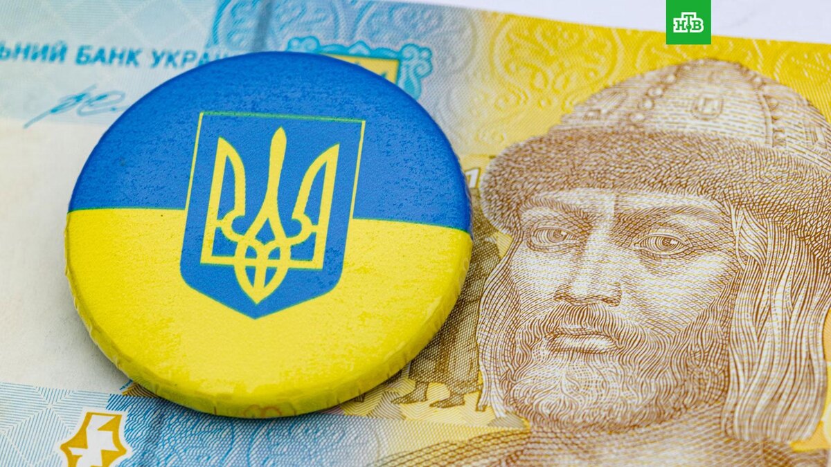    Фото: Marek Studzinski / unsplash.com