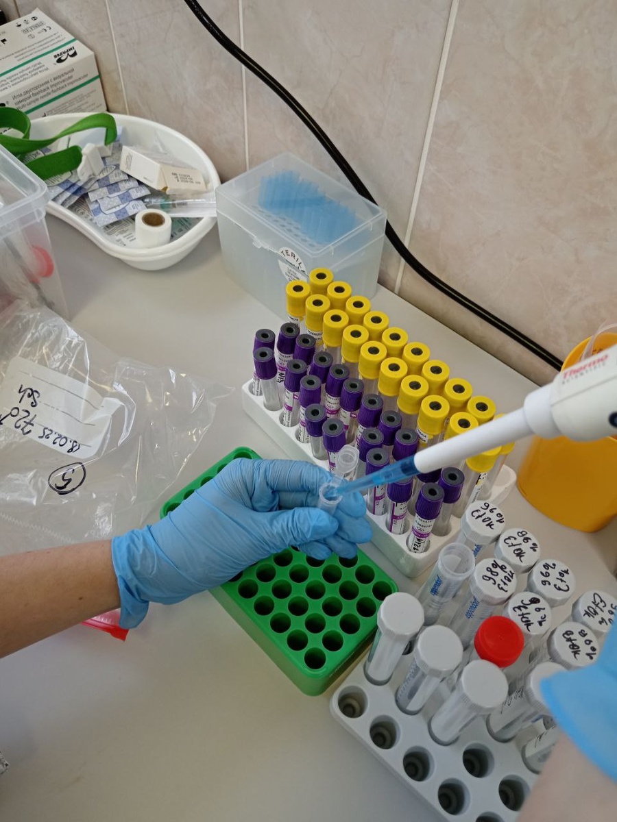 Подготовка материала для последующего выделения РНК. Источник: Яна Зоркина