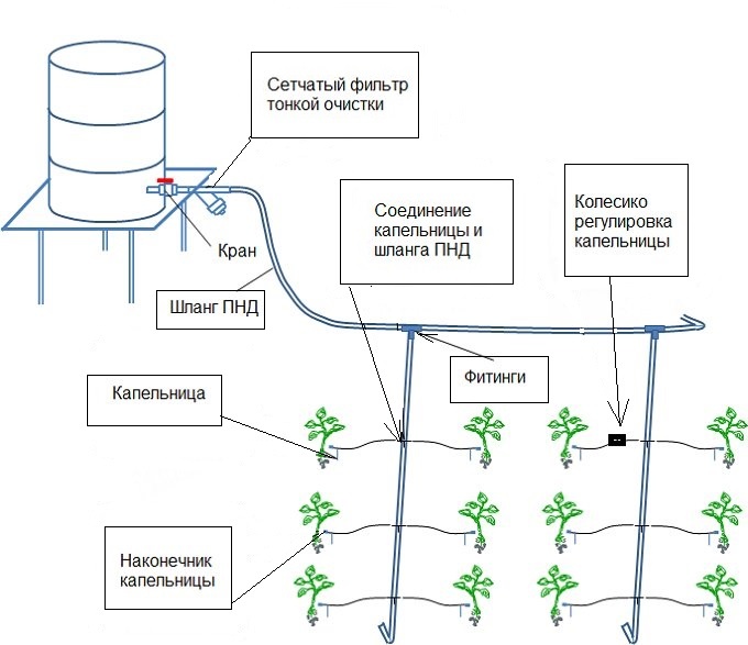 наглядная схема капельного полива своими руками