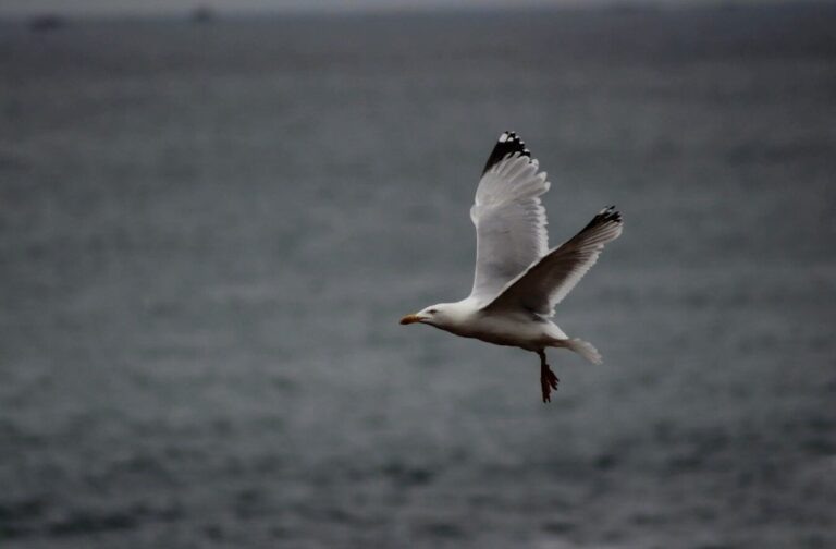    Фото: freepik.com/free-photo Александра Горохова