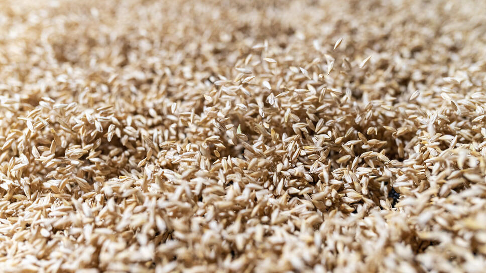 Фото: Игорь Елисеев / Коммерсантъ