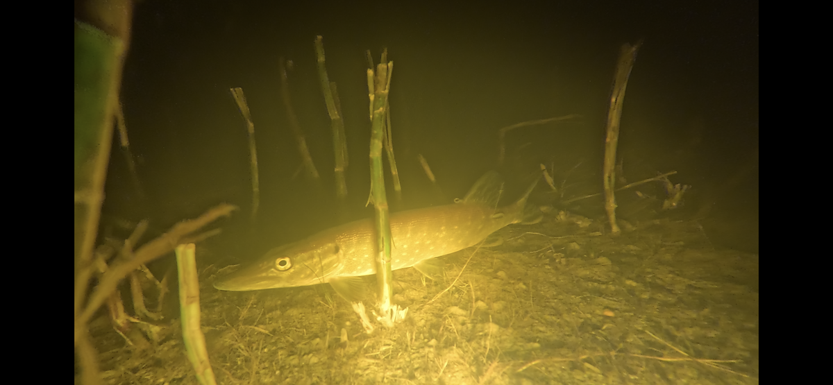 Здесь по красивее чуток.