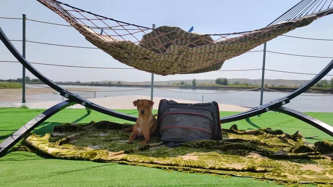 Фото со сплавов по Дону, 2024