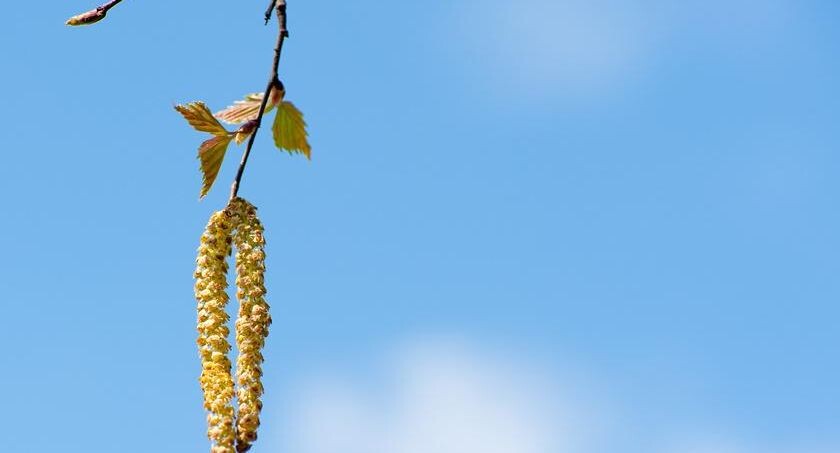    E. O. / Фотобанк Лори