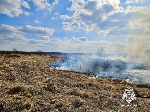 Дом, мусор и трава – 29 «горячих» точек в Тверской области за сутки