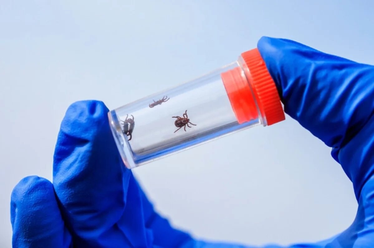    Уже проснулись!