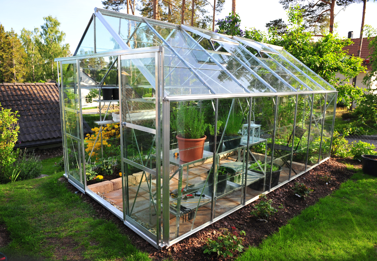 Чем обработать теплицу весной?