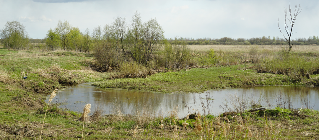 Названия наших рек. Саводранка и её притоки