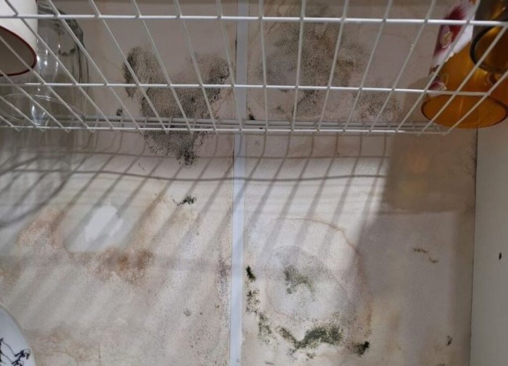    Фото: Амур.инфо