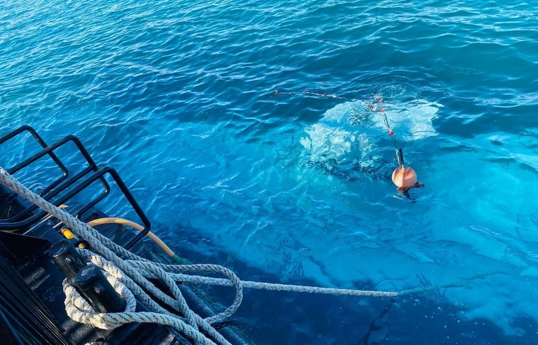    Ali Awad/XinHua/Global Look Press