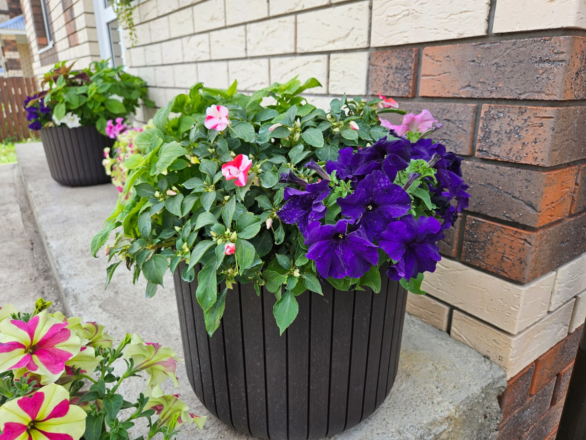 Такие кашпо красивы, но ценник негуманный