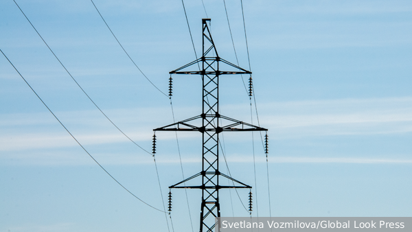     Фото: Svetlana Vozmilova/Global Look Press   
 Текст: Вера Басилая