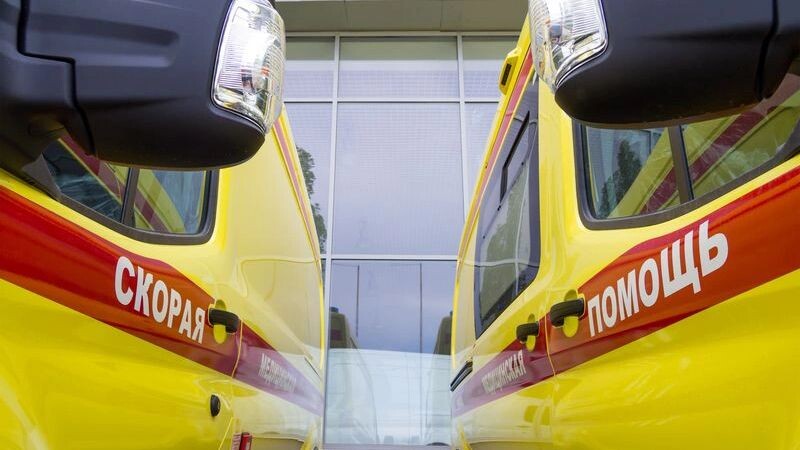    Фото: VPales/Shutterstock/Fotodom