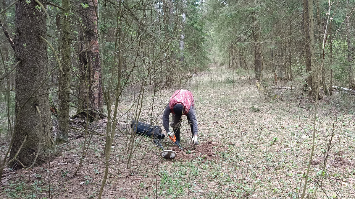 Опытный кладоискатель