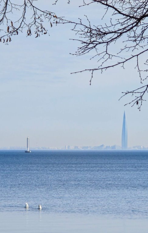 Фото: Ира Петербург. https://vk.cc/cKqDhn