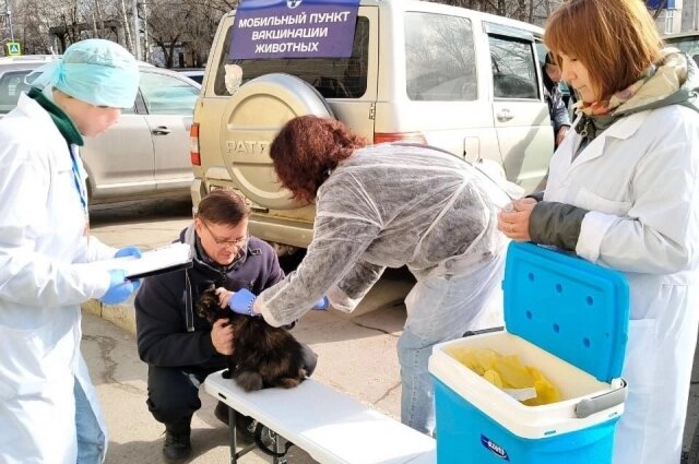    Фото: Симбирский референтный центр ветеринарии и безопасности продовольствия
