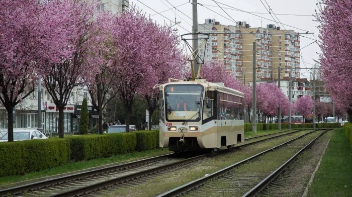    администрация Краснодара