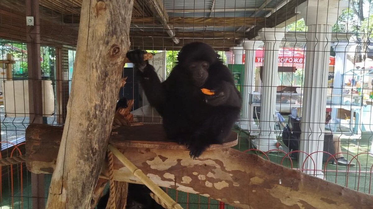    Фото: телеканал «Краснодар»