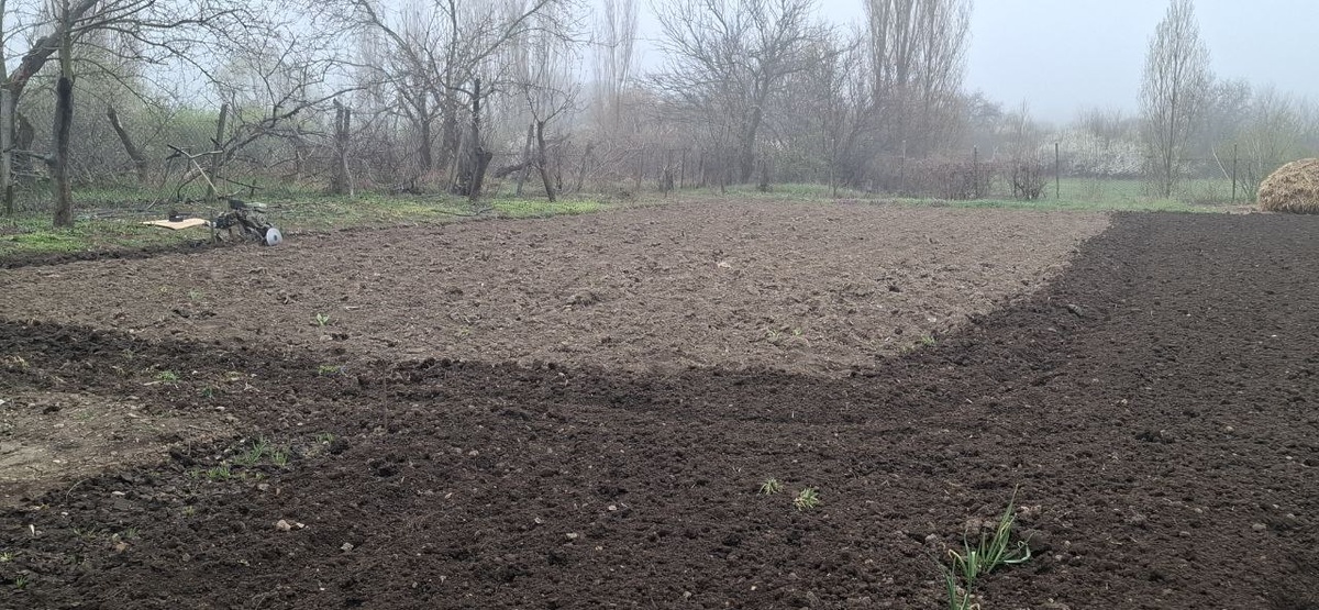 У нас сегодня пасмурно, туманно и сеет мелкий дождик.