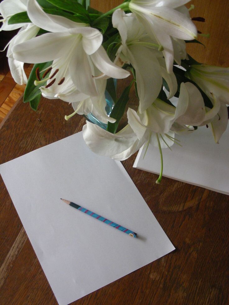 Источник pinterest.com