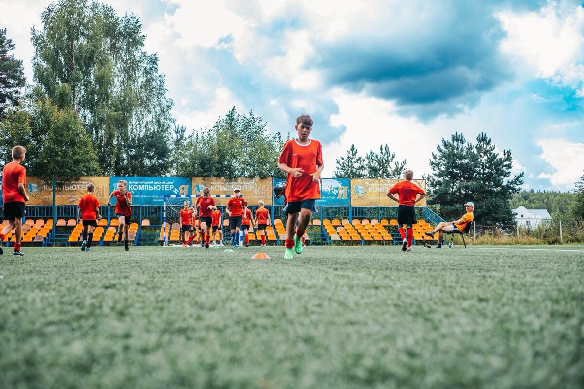 Профессиональное футбольное поле