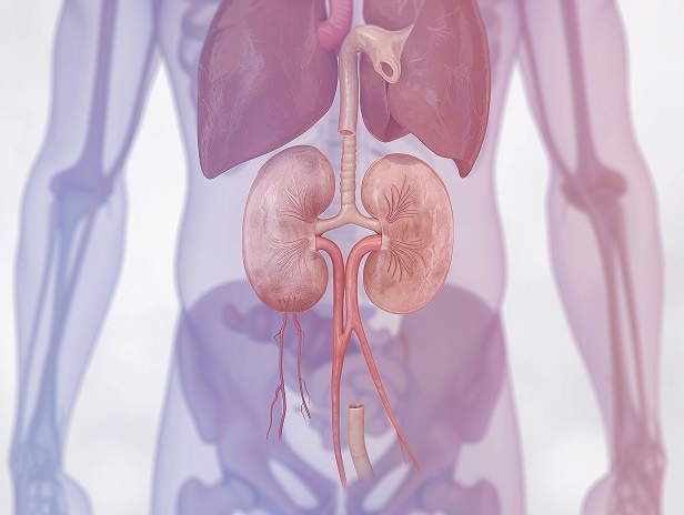 Нефрология 