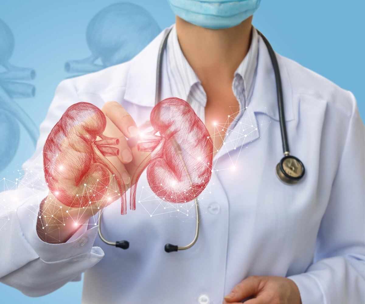 Нефролог - врач, который лечит почки. 