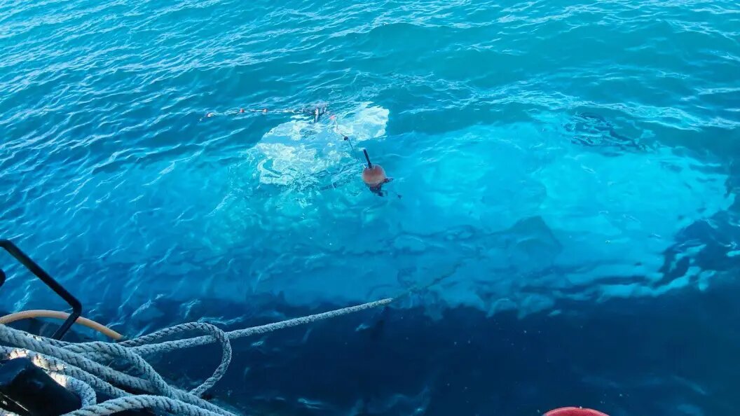    фото: Ali Awad/XinHua/Globallookpress