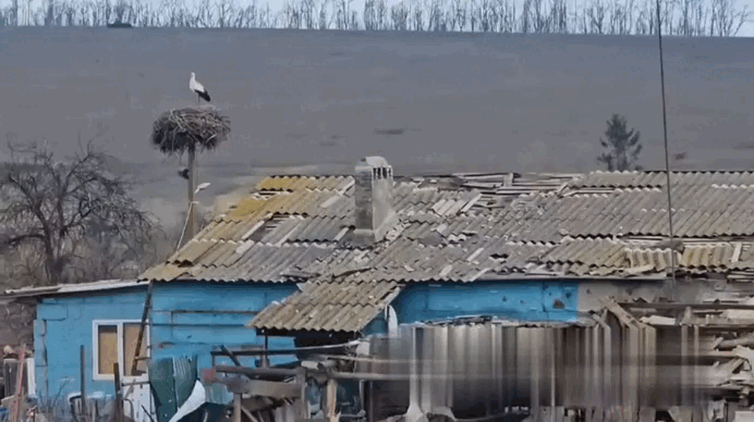    Видео: t.me/vika_tsyganova63