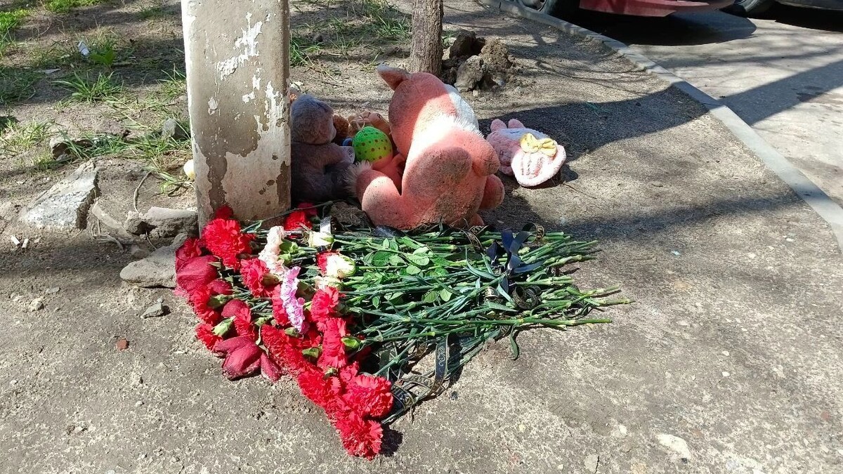     Источник: novostivolgograda.ru