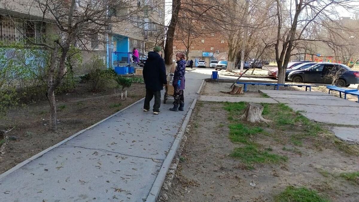     Источник: novostivolgograda.ru