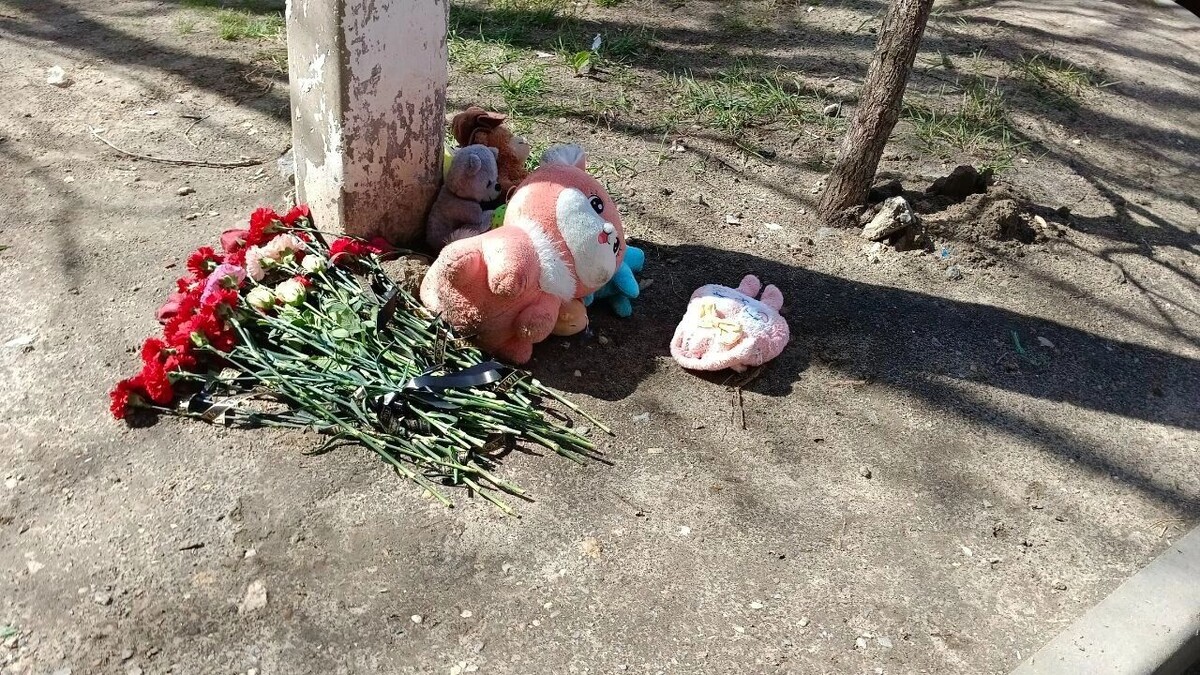     Источник: novostivolgograda.ru