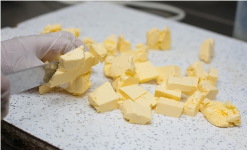    Фото ФГБУ ВНИИЗЖ