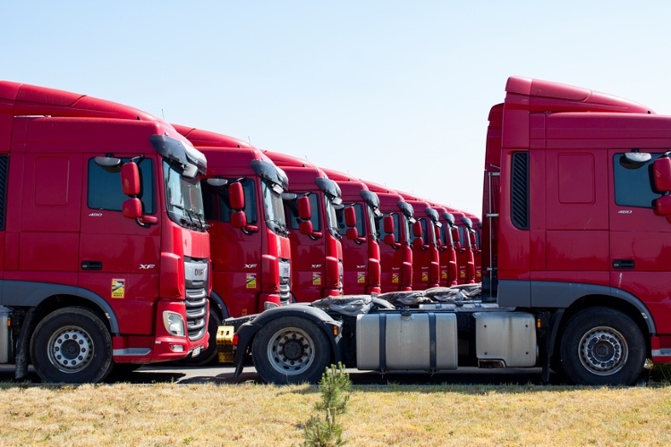 Фото: © Volha Zhurauliova / Фотобанк Лори