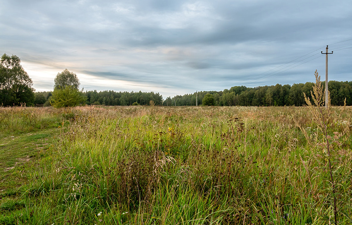 Фотобанк Лори