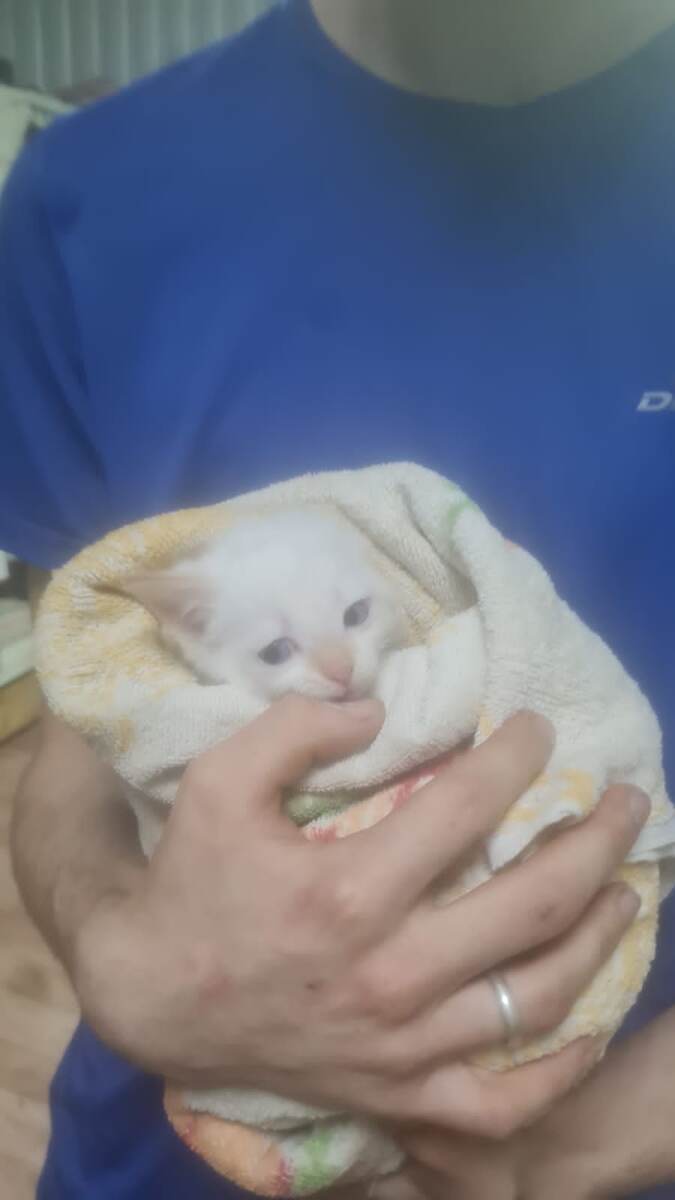 В надёжных руках.