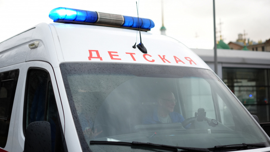    Фото: ИЗВЕСТИЯ/Эдуард Корниенко; 5-tv.ru