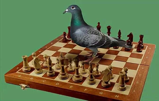 Яндекс.Картинки