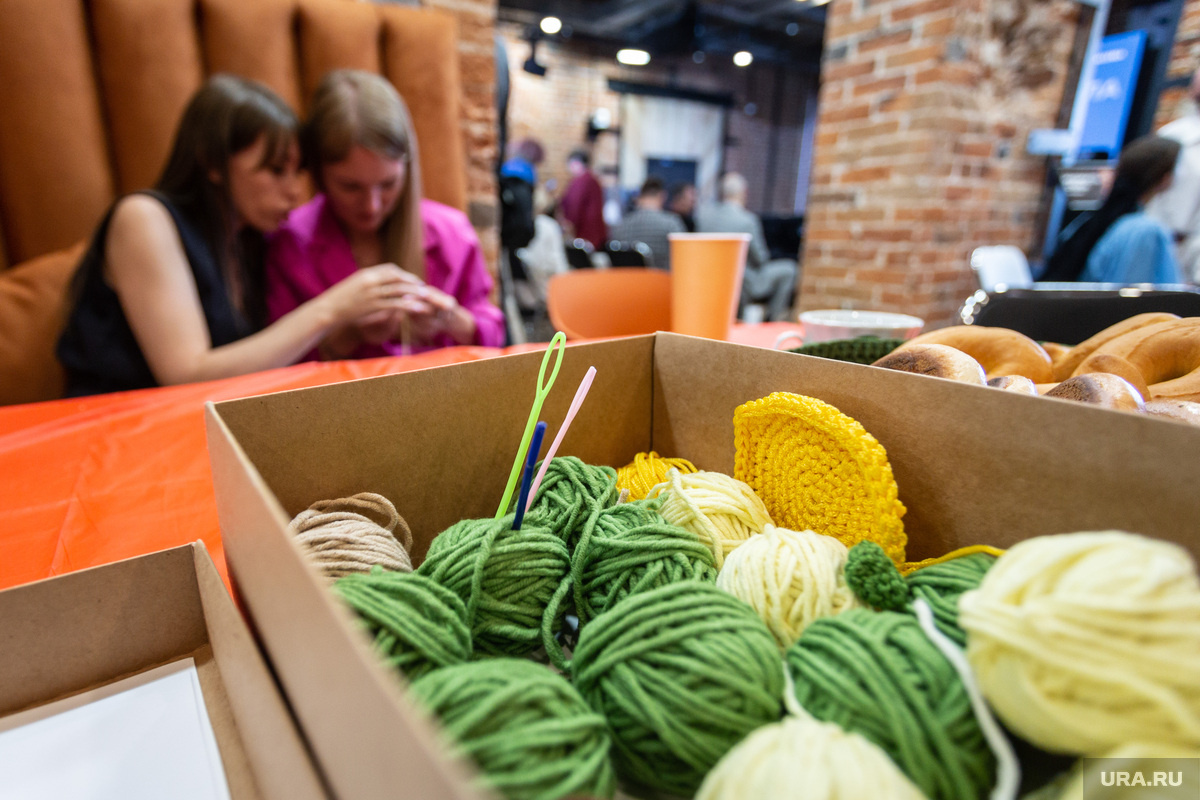 В Вологодской области будут вязать шапочки для эмбрионов. Фото: Илья Московец © URA.RU