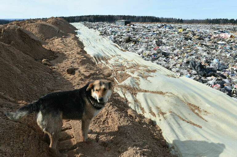   Игорь Самохвалов/ПГ
