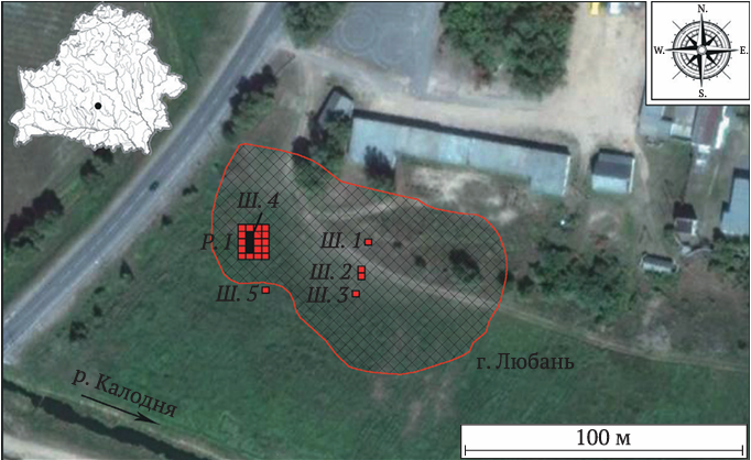 Место находки Любань-9 — на границе болота и леса у города Любань (из научной статьи А. М. Вашанова и М. И. Ткачёвой, 2025)