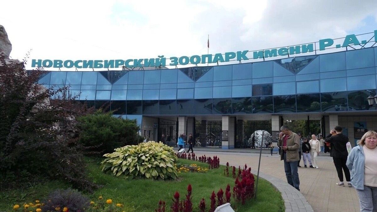     Автор: Эмилия Губарева Источник: 1MI