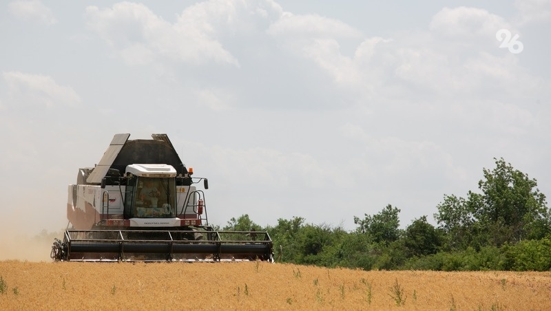      Фото: Валерия Алтухова / / ИА «Победа26»