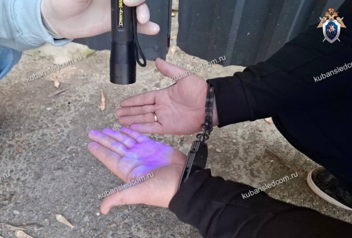 Фото: Telegram/СУ СКР по Краснодарскому краю  📷
