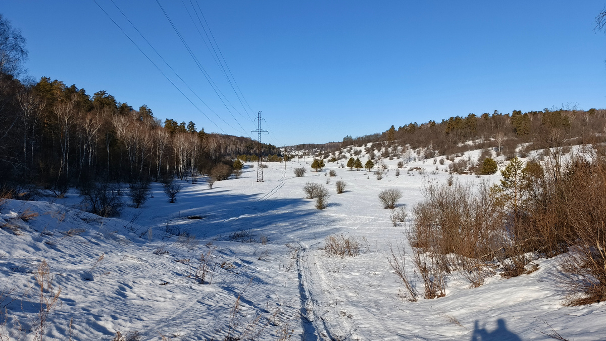 Урочище Чарокайка в Ширяевском овраге. Национальный парк "Самарская Лука". Март 2025. 