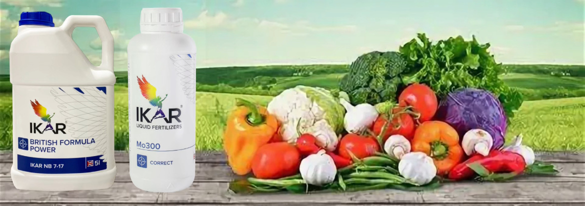 Икар Молибден