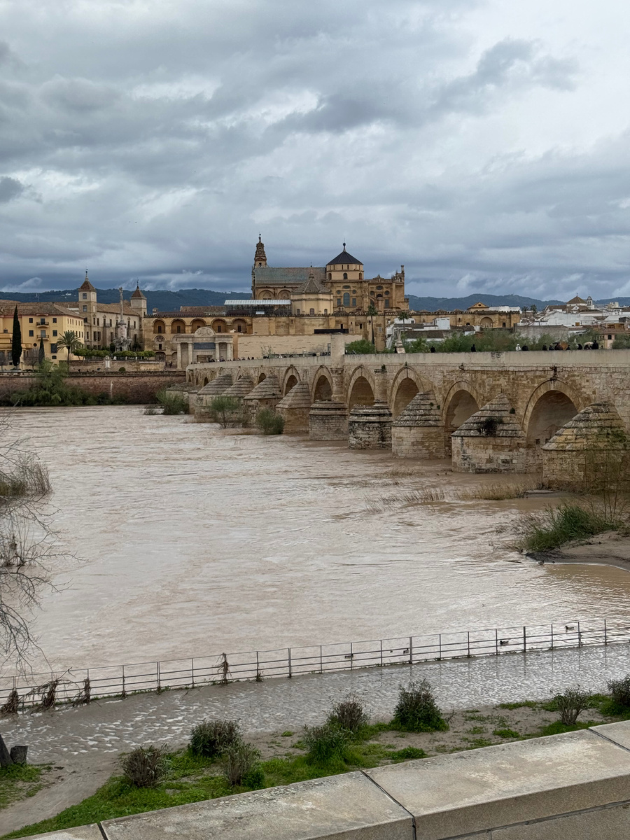 Фото Сад в стиле Paradise @