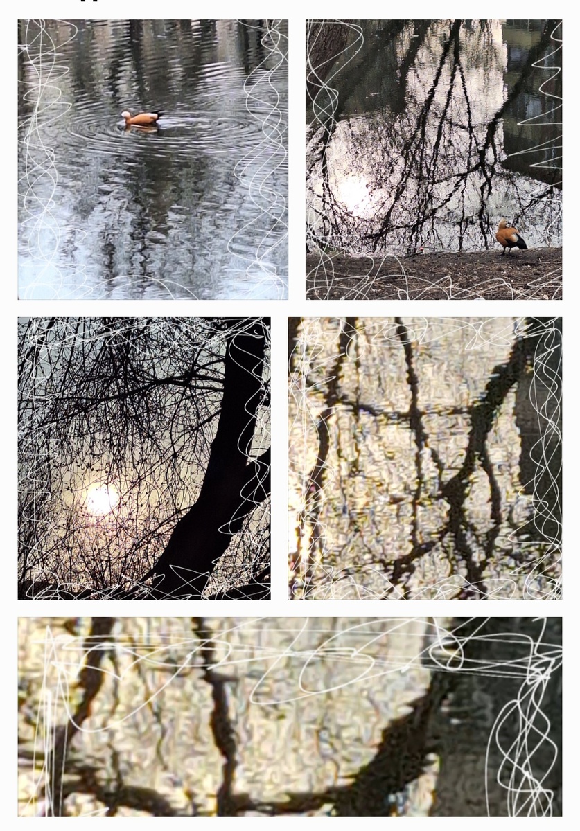 Фотоколлаж - собственность автора канала.