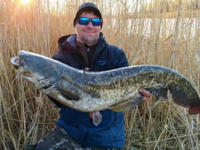 Источник фото: Соцсети